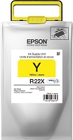 Epson WorkForce - R22X