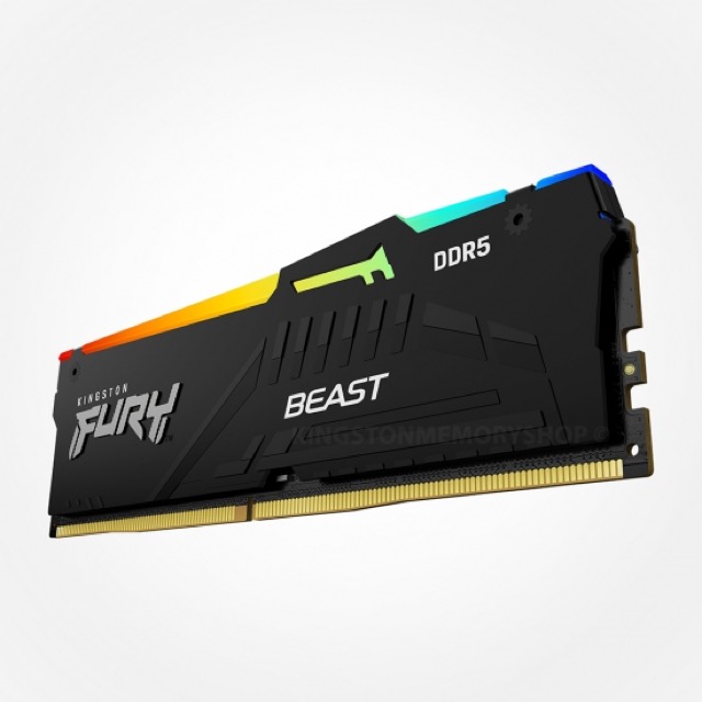 Kingston FURY Beast RGB